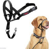 Halti Headcollar Black