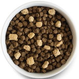 Above view of Open Farm Rawmix Ancient Grains Tide & Terrain formula in a white bowl. Contains coated kibble and freeze-dried morsels.