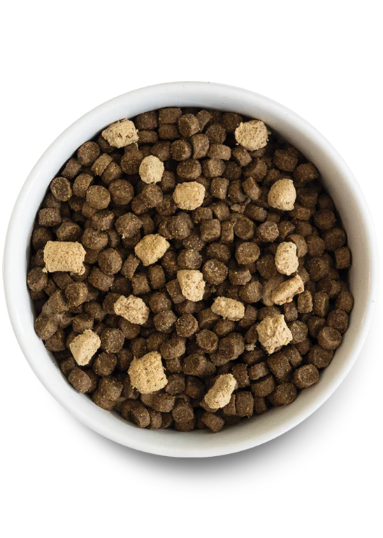 Above view of Open Farm Rawmix Ancient Grains Tide & Terrain formula in a white bowl. Contains coated kibble and freeze-dried morsels.