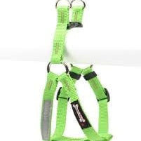 Smoochy Poochy Step In Harness Apple Medium 5/8"