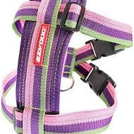 Ezydog Chest Plate Harness Bubblegum X-Small